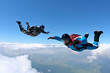 Skydiving photo