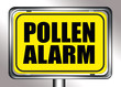 pollen11