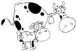 Black And White Calf By A Mom Dairy Cow