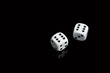 two white dice