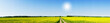 Rapeseed field in the beautiful springtime.