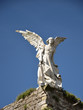Statue of an angel Statue of an angel