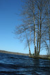 Spring lake