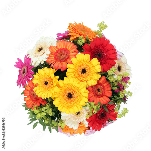 Photo: Gerbera Gerbera