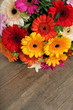 Gerbera