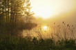 Stunning foggy landscape