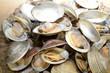 Yummy Whole Clams