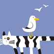 seagull