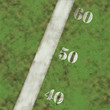 high res grass texture