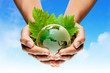 planète terre mains écologie / green earth globe in hands planète terre mains écologie / green earth globe in hands