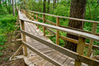 Footbridge and trees