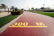 Image : 300 m reached