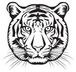tiger vector illustration