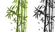 Bamboo Black