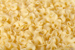 Photo: Macaroni Macaroni