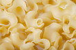Photo: Macaroni. Closeup Macaroni. Closeup