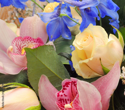 Foto: the flowers the flowers