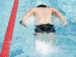 Foto: Schwimmen Delphin Schwimmen Delphin