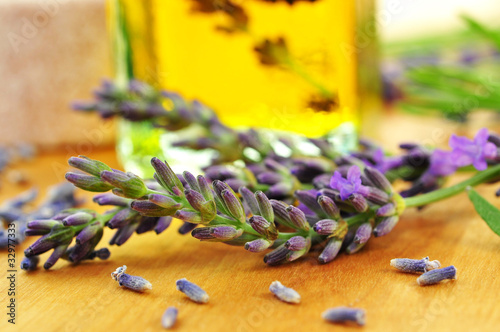 Photo: Lavendel Lavendel