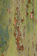 Old paint