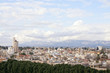 Panoramic view of Nicosia city