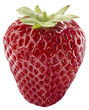 fragole