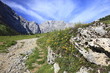 Gebirgswiese mit Weg