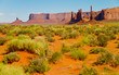 wide angle view of Monument Valley, Utah, USA