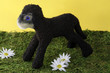Schwarzes Schaf