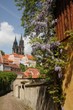 meissen