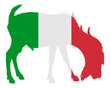 Italienischer Ziegenbock