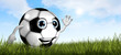 Terrain de foot