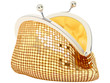 small purse