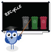 Owl teacher with recycling message on blackboard Owl teacher with recycling message on blackboard