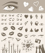 Body part