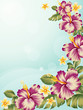 hibiscus_02