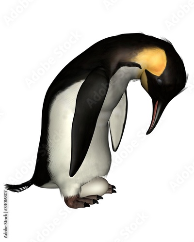 Illustration: Emperor Penguin with Egg Emperor Penguin with Egg