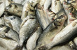 Fresh fishes on a market stall