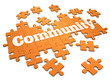 3d Community puzzle