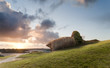 Bunker on the coastline, Gold Beach..