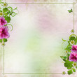Background for congratulation card in pink and green