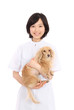 犬と白衣を着た女性