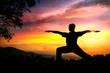 Photo en ligne au meilleur prix Yoga silhouette virabhadrasana II warrior pose
