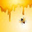 Vector: Bee on honeycomb Bee on honeycomb