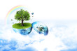 environment