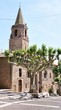 église de Fréjus 1 église de Fréjus 1