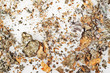 pieces of metal pieces of metal