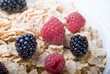 Bowl of muesli with berries