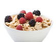 Bowl of muesli  with berries
