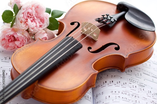 Photo: Violin Violin